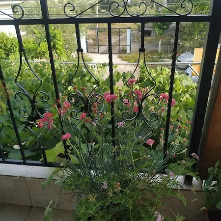 Apartment Rapo's Himare